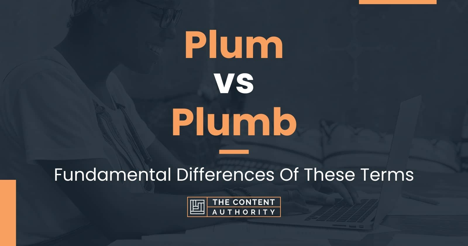 plum-vs-plumb-fundamental-differences-of-these-terms