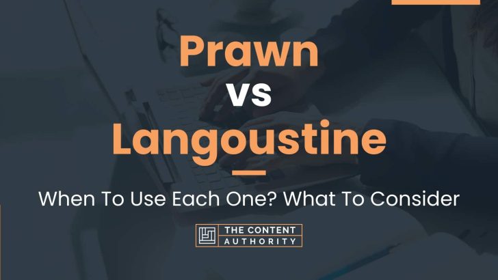 Prawn vs Langoustine: When To Use Each One? What To Consider