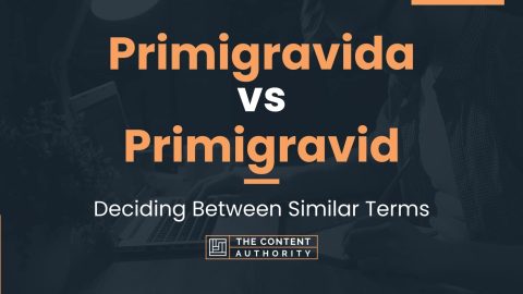 Primigravida vs Primigravid: Deciding Between Similar Terms