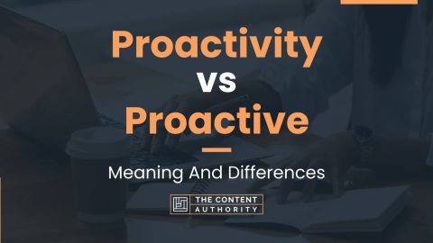 Proactivity vs Proactive: Meaning And Differences