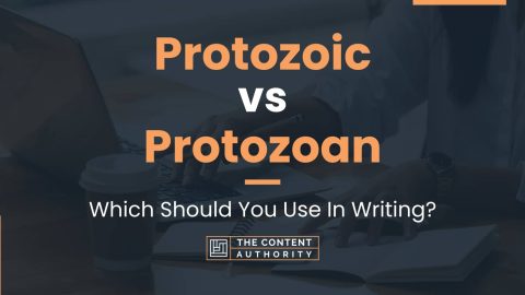 Protozoic vs Protozoan: Which Should You Use In Writing?