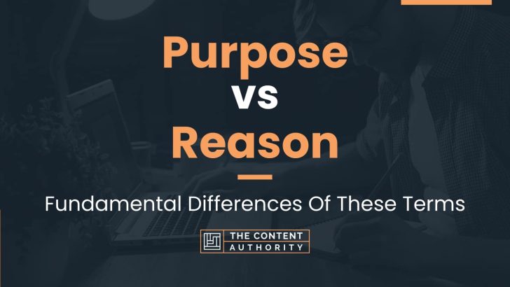 Purpose vs Reason: Fundamental Differences Of These Terms