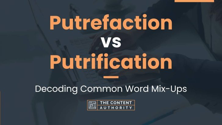 Putrefaction vs Putrification: Decoding Common Word Mix-Ups