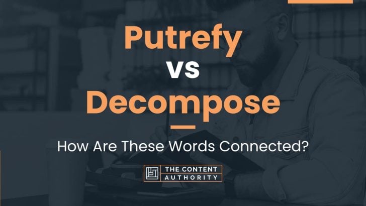 Putrefy vs Decompose: How Are These Words Connected?