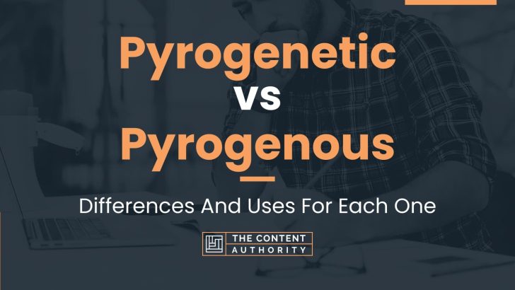 Pyrogenetic vs Pyrogenous: Differences And Uses For Each One