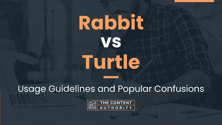 Rabbit vs Turtle: Usage Guidelines and Popular Confusions
