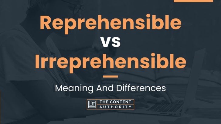 Reprehensible vs Irreprehensible: Meaning And Differences