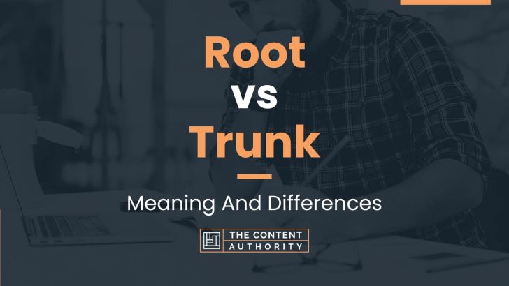 root-vs-trunk-meaning-and-differences