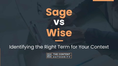 Sage vs Wise: Identifying the Right Term for Your Context