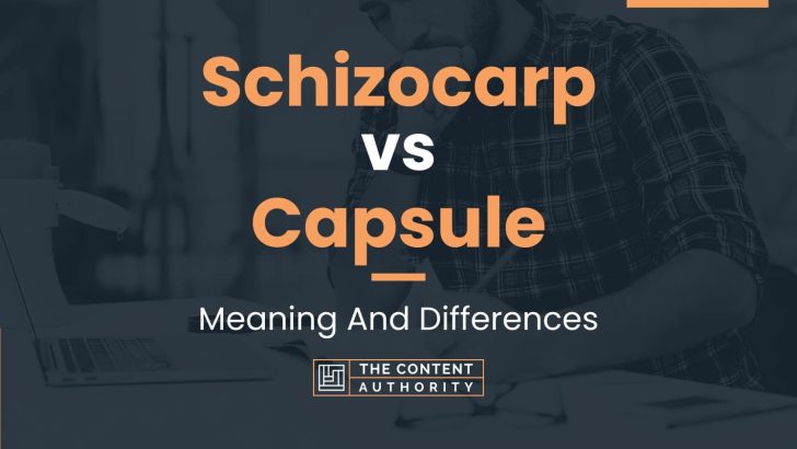 Schizocarp vs Capsule: Meaning And Differences