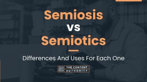 Semiosis vs Semiotics: Differences And Uses For Each One