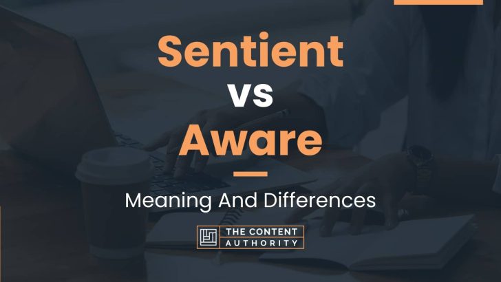 sentient-vs-aware-meaning-and-differences