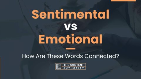 Sentimental vs Emotional How Are These Words Connected 