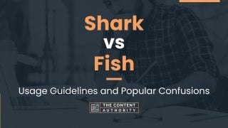 Shark vs Fish: Usage Guidelines and Popular Confusions