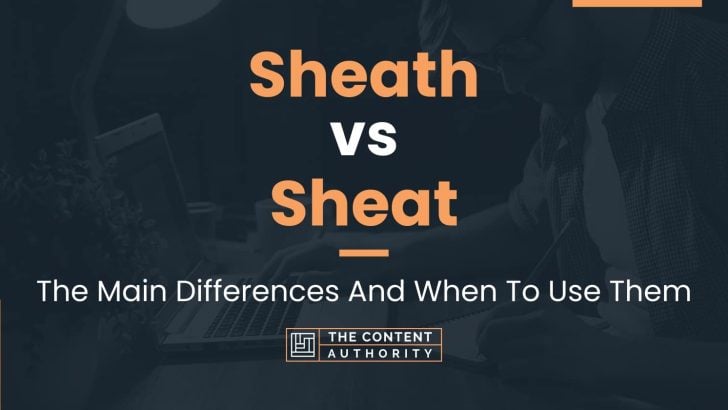 Sheath vs Sheat: The Main Differences And When To Use Them
