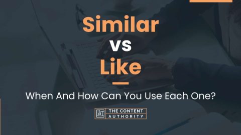 Similar Vs Like: When And How Can You Use Each One?