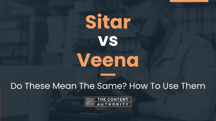 Sitar vs Veena: Do These Mean The Same? How To Use Them