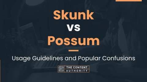 Skunk vs Possum: Usage Guidelines and Popular Confusions