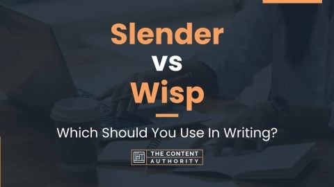 Slender vs Wisp: Which Should You Use In Writing?