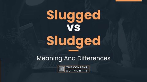 Slugged Vs Sludged: Meaning And Differences