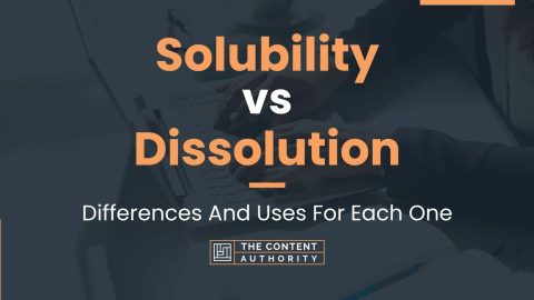 Solubility vs Dissolution: Differences And Uses For Each One