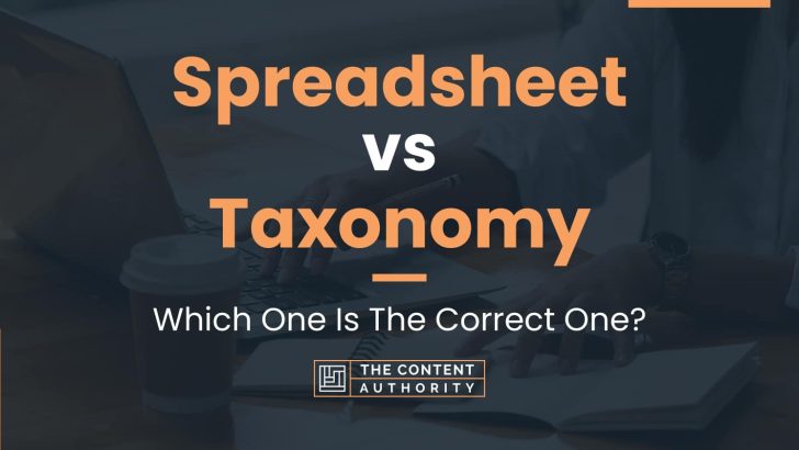 Spreadsheet vs Taxonomy: Which One Is The Correct One?