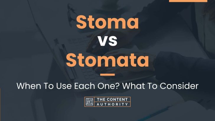 Stoma vs Stomata: When To Use Each One? What To Consider