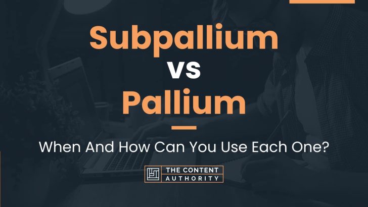 Subpallium vs Pallium: When And How Can You Use Each One?