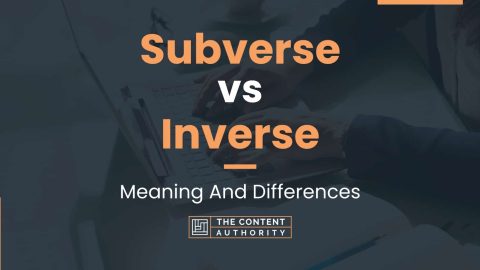 Subverse vs Inverse: Meaning And Differences