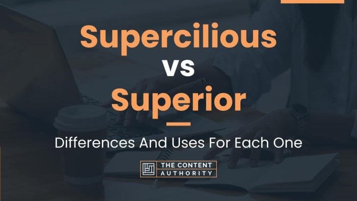 Supercilious vs Superior: Differences And Uses For Each One