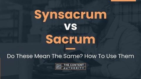 Synsacrum vs Sacrum: Do These Mean The Same? How To Use Them