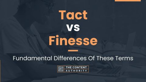 Tact vs Finesse: Fundamental Differences Of These Terms