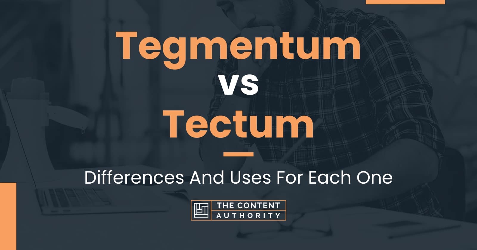 Tegmentum vs Tectum: Differences And Uses For Each One