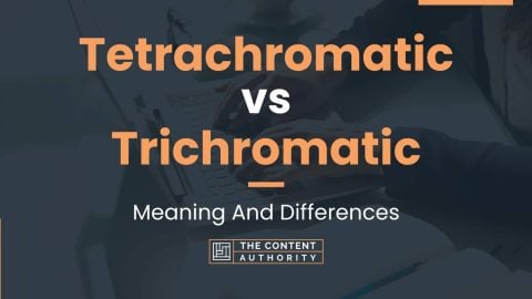 Tetrachromatic vs Trichromatic: Meaning And Differences