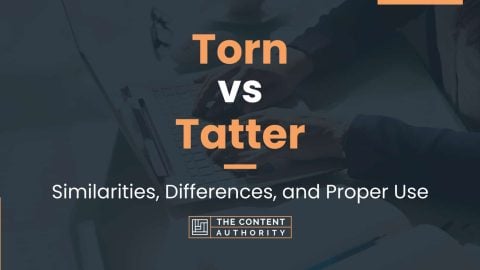 Torn vs Tatter: Similarities, Differences, and Proper Use