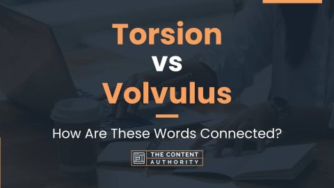 Torsion vs Volvulus: How Are These Words Connected?