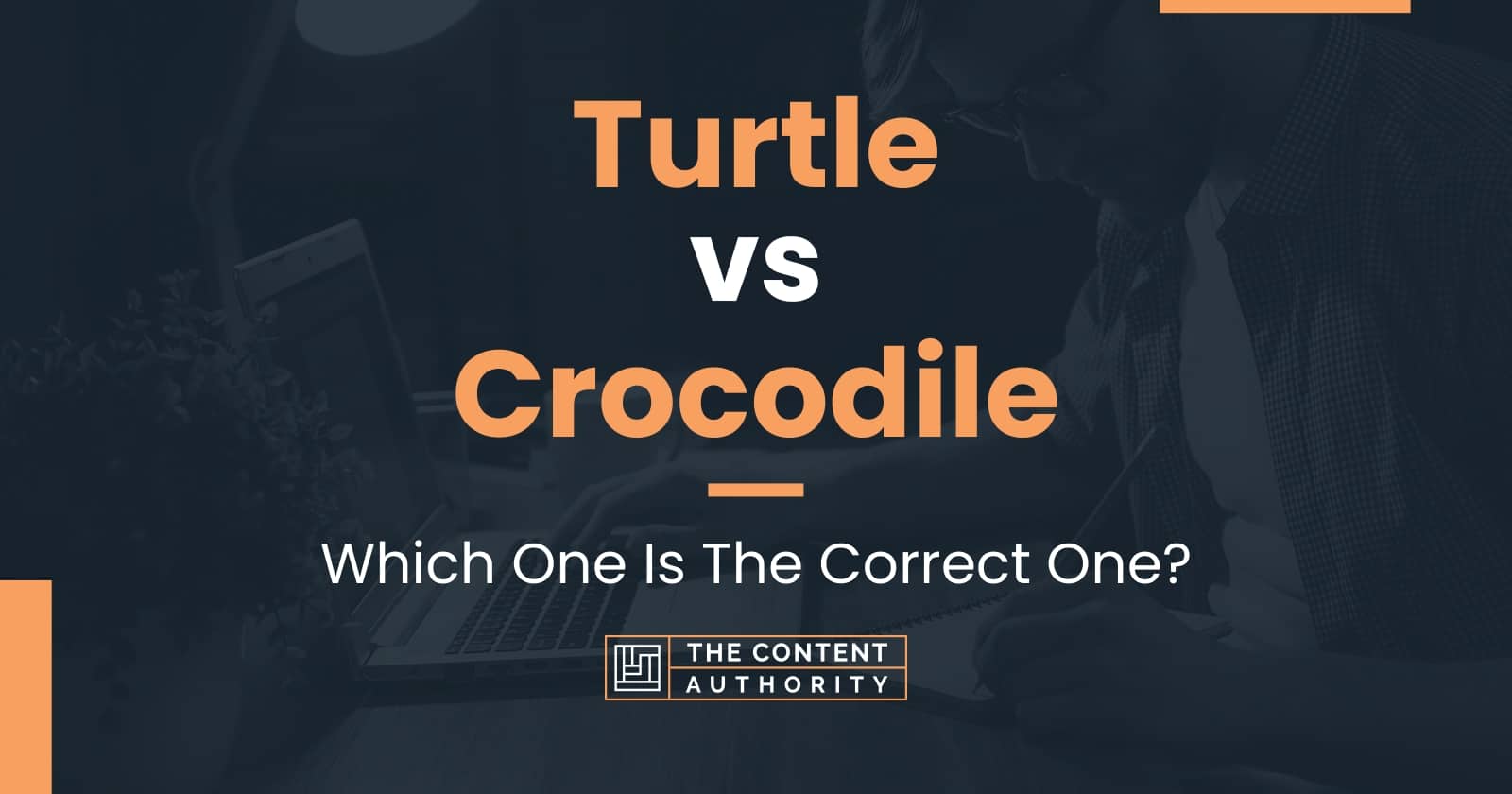 Turtle vs Crocodile: Which One Is The Correct One?