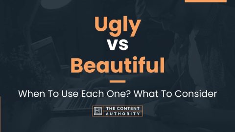 essay about beautiful vs ugly