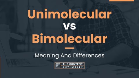 Unimolecular vs Bimolecular: Meaning And Differences