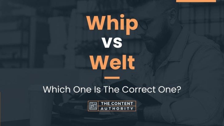 Whip vs Welt: Which One Is The Correct One?