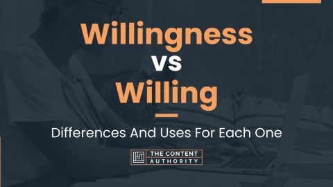 Willingness vs Willing: Differences And Uses For Each One