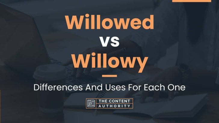 Willowed vs Willowy: Differences And Uses For Each One