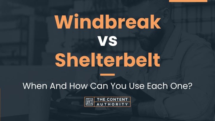 Windbreak vs Shelterbelt: When And How Can You Use Each One?