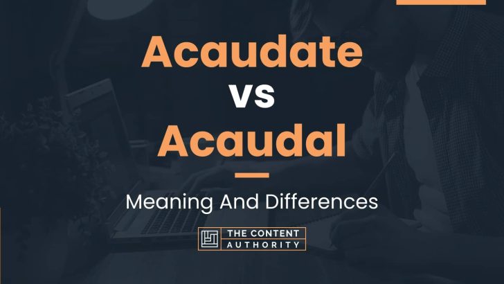 Acaudate vs Acaudal: Meaning And Differences