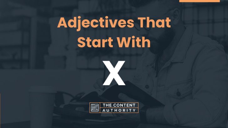 75+ Adjectives That Start With X (Many Categories)