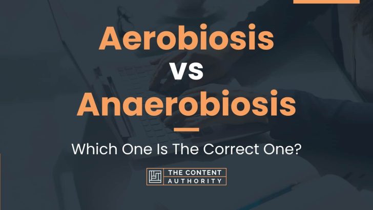 Aerobiosis vs Anaerobiosis: Which One Is The Correct One?