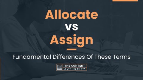 Allocate vs Assign: Fundamental Differences Of These Terms