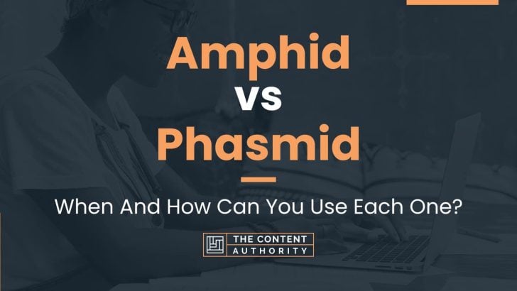 Amphid vs Phasmid: When And How Can You Use Each One?