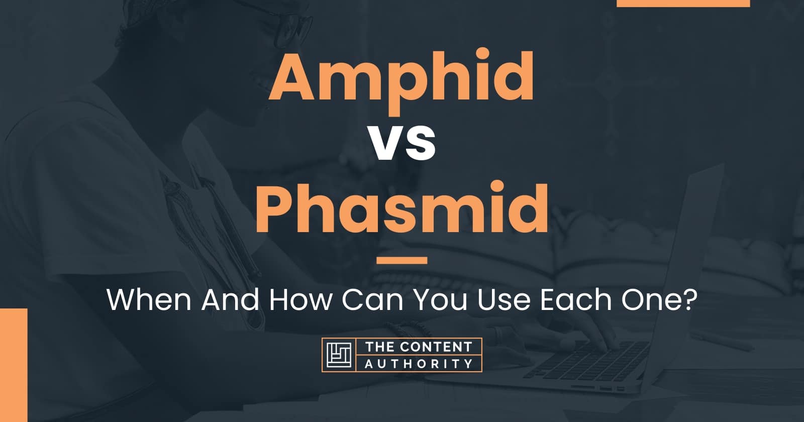 Amphid vs Phasmid: When And How Can You Use Each One?