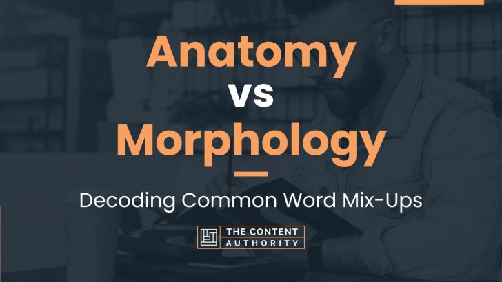 Anatomy vs Morphology: Decoding Common Word Mix-Ups